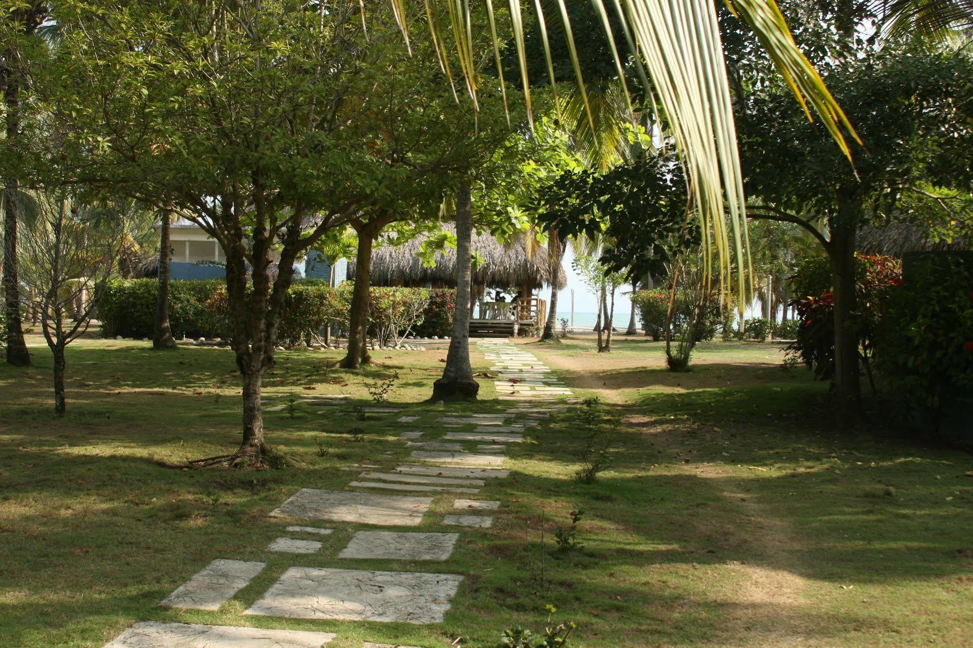 Hukumeizi Palomino Exterior foto